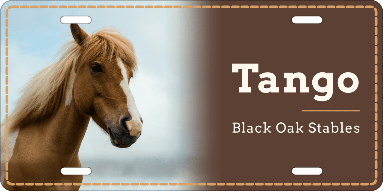 Saddle Leather stall sign, with your horse’s photo