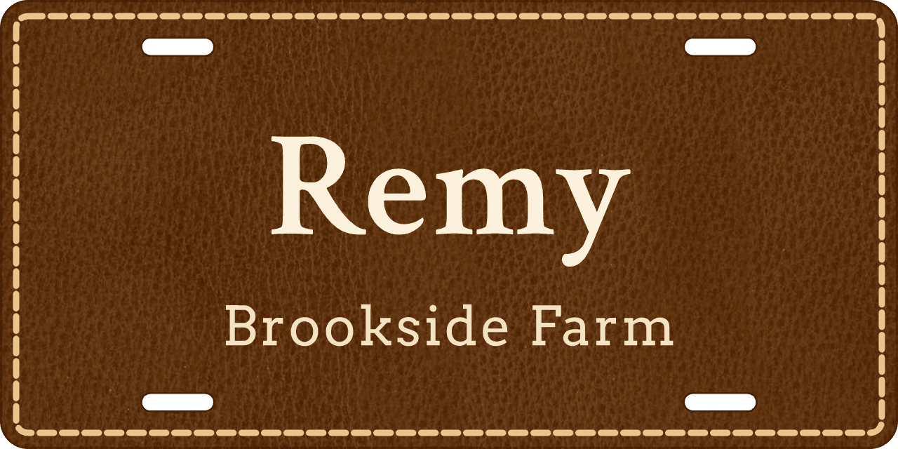 Stitched Leather stall sign