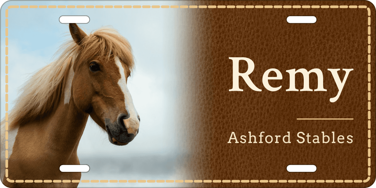 Stitched Leather stall sign, with your horse’s photo