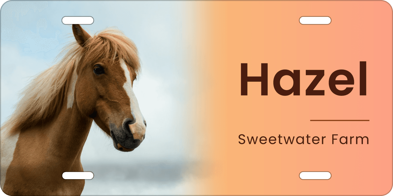 Sunset stall sign, with your horse’s photo